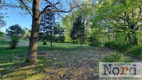 Działka budowlana 3548 m² w Gabowych Grądach — spokój i natura działka Gabowe Grądy