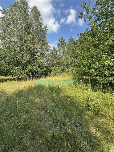 działka na sprzedaż 1566m2 działka Chrzanów Mały