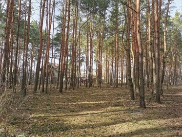 działka na sprzedaż 1500m2 działka Sulejówek