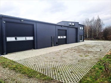 lokal użytkowy na wynajem 300m2 lokal użytkowy Rzeszów, Pobitno, Cienista
