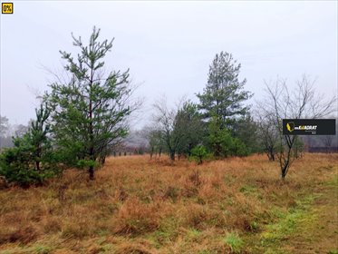 działka na sprzedaż 1905m2 działka Nowa Wieś Ełcka