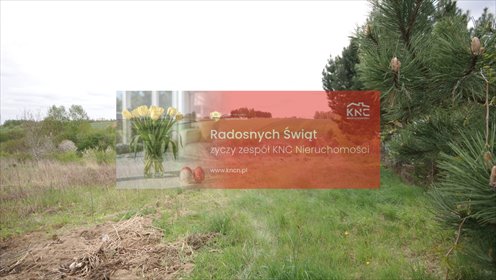 działka na sprzedaż 9622m2 działka Jakubowice Konińskie