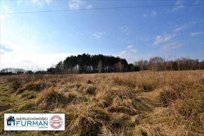Działka inna na sprzedaż Sarcz, Dłużewo 1 488m2 Foto 2