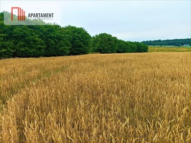 Działka 862 m² w Osówcu pod inwestycję - polecam działka Osówiec