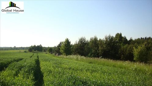 działka na sprzedaż 534100m2 działka Świętajno