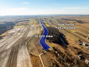działka na sprzedaż 39283m2 działka Sułoszowa, Olkuska