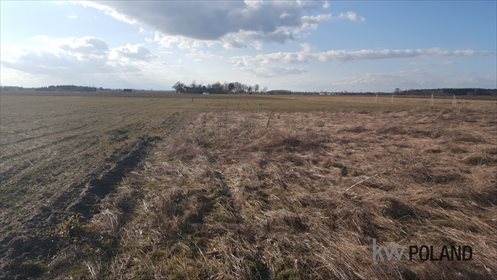 Działka budowlana na sprzedaż Czerlejno, Kleszczewska 818m2 Foto 4