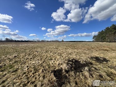 Sprzedam działkę 3226 m² w Grzepnicy z potencjałem inwestycyjnym działka Grzepnica