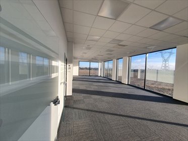 Magazyn na wynajem Szeligi 604m2 Foto 2
