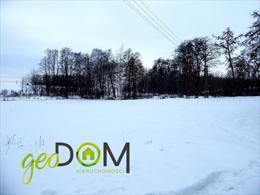 Działka budowlana na sprzedaż Józefin k. Nowosiółek 3 100m2 Foto 2