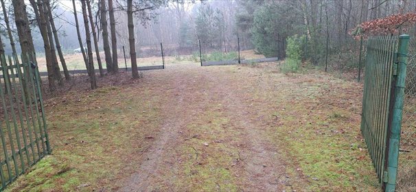 działka na sprzedaż 1300m2 działka Złotniki, Złotniki-Kolonia