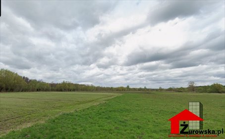 Działki rolne i leśne 11,69 ha w Skrobaczowie. działka Skrobaczów