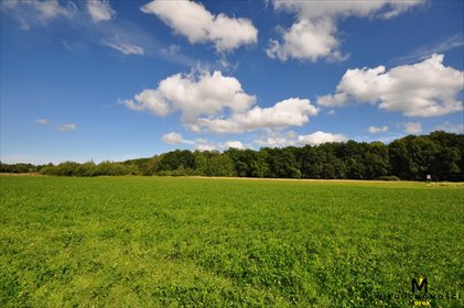 Polecam działkę rolną z warunkami zabudowy 3778 m² w spokojnej okolicy działka Smolne