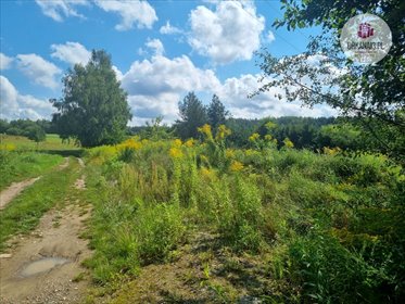 Do sprzedania działka 1616 m² z warunkami zabudowy w Patrykach działka Patryki, Patryki