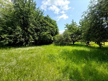 działka na wynajem 800m2 działka Piekary Śląskie, Stanisława Moniuszki