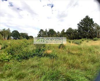 działka na sprzedaż 3872m2 działka Mściszewice