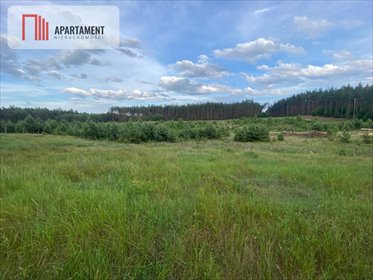 działka na sprzedaż 3000m2 działka Nowa Kiszewa