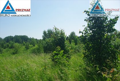 działka na sprzedaż 1545m2 działka Mokiny