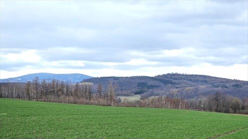 działka na sprzedaż 1735m2 działka Dziećmorowice, Stary Julianów