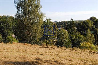 Działka budowlana na sprzedaż Miłoszów, Miłoszów 6 500m2 Foto 2