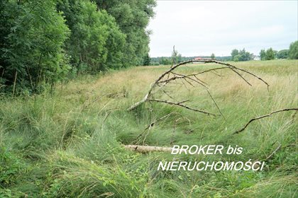 działka na sprzedaż 5700m2 działka Bolemin