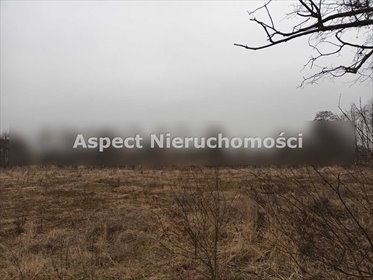 Działka budowlana na sprzedaż Żory, Baranowice 6 569m2 Foto 2