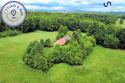 Działka 2007 m² z lasami i usługami - wyjątkowa okazja. działka Gostyń, Macierzanki