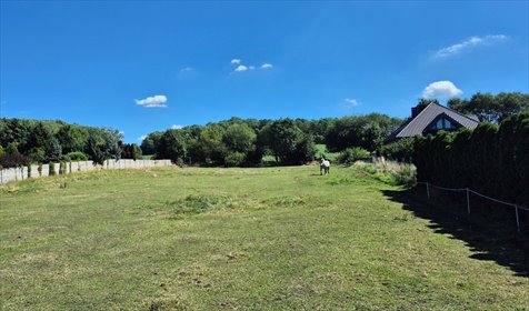 Sprzedam działkę 648 m² w Orzechu - idealna na dom z prywatnością działka Orzech