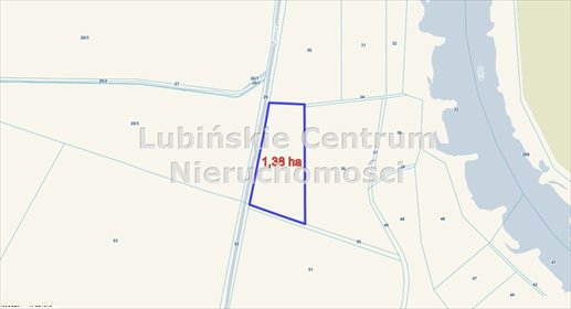 Działka rolna 1,38 ha z możliwością podziału na dwie działka Ścinawa