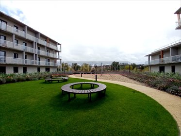 mieszkanie na sprzedaż 50m2 mieszkanie Legnica