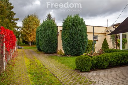 Zapraszam do wynajmu 35 m² mieszkania w Gdańsku mieszkanie Gdańsk, Po Schodkach