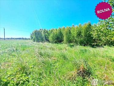 Działka rolna 10 100 m² pod agroturystykę, cicha okolica działka Nowogard, obrzeża