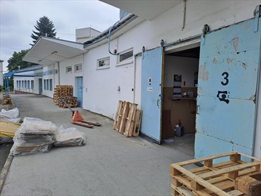 lokal użytkowy na wynajem 300m2 lokal użytkowy Pruszcz Gdański, Zastawna