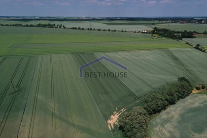 Działka przemysłowo-handlowa na sprzedaż Kurów 23 400m2 Foto 3