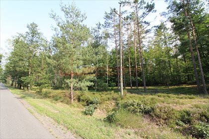 działka na sprzedaż 2000m2 działka Krasiejów / Myślinka