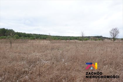 Działka rolna 10 000 m2 przy drodze asfaltowej działka Dąbrowa