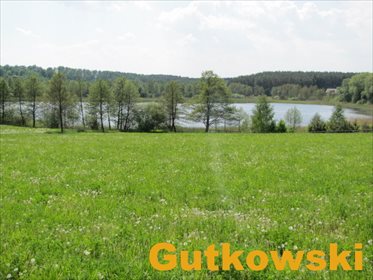 działka na sprzedaż Jamielnik gmina Nowe Miasto Lubawskie 10005 m2