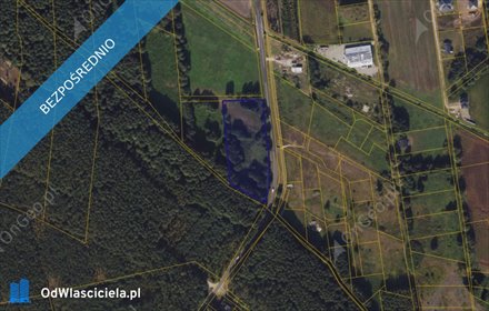 działka na sprzedaż 9800m2 działka Wielka Nieszawka