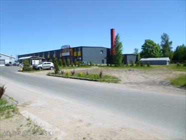 lokal użytkowy na wynajem 1800m2 lokal użytkowy Sejny