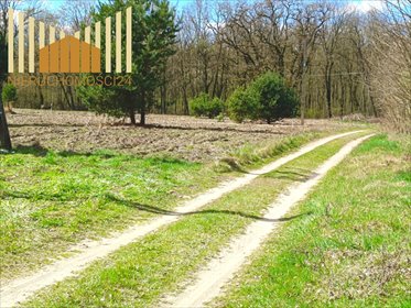Działki budowlane 1001-1257 m2, las, media, blisko Warszawy działka Mrozy