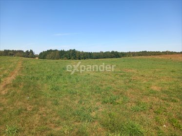 działka na sprzedaż 3200m2 działka Rojewo