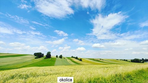 Działka budowlana na sprzedaż Sadki 1 500m2 Foto 2