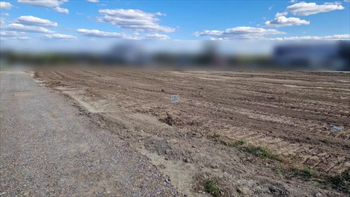 Działka 7000 m² z dojazdem, prądem i wodą – wynajem działka Zakrzowiec