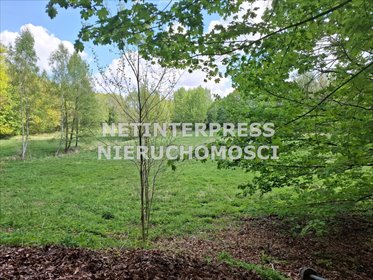 działka na sprzedaż 21423m2 działka Szczecinek