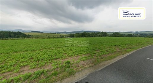 działka na sprzedaż 40900m2 działka Jaszkowa Dolna