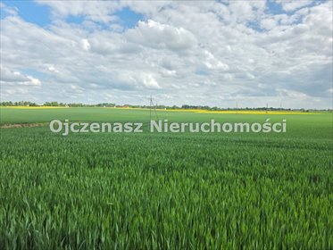 Zapraszam do obejrzenia działki 2278 m² w Sicienku działka Sicienko