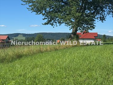 działka na sprzedaż 2300m2 działka Lesko