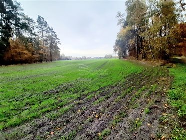 Działka rekreacyjna na sprzedaż Mianów 2 828m2 Foto 7