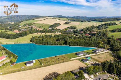 Zapraszam do zakupu działki 15 800 m² z stawem i lasami działka Strzyżowiec, Strzyżowiec