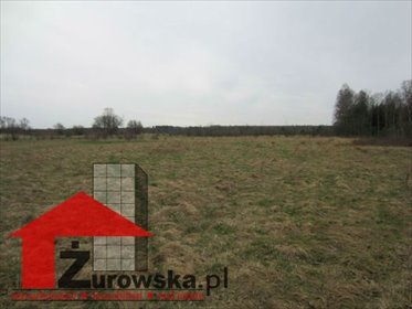 działka na sprzedaż Węgliniec 2000000 m2